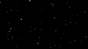 Infonication 101 2021 Bumper image